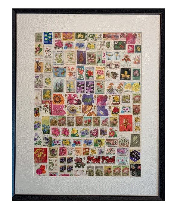 Flower Themed Stamp Collection in photo frame (a3)