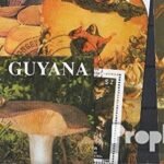 Guyana 10 various minisheets (Stamps for collectors)