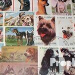 Motives 200 various Dogs stamps (Stamps for collectors) Dogs/wolves/hyenas